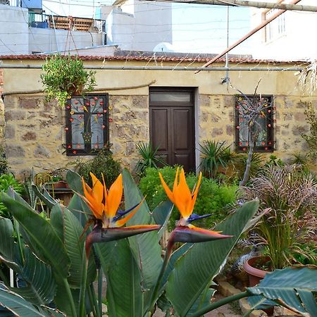 Mystery Garden Guest House Famagusta  Eksteriør billede