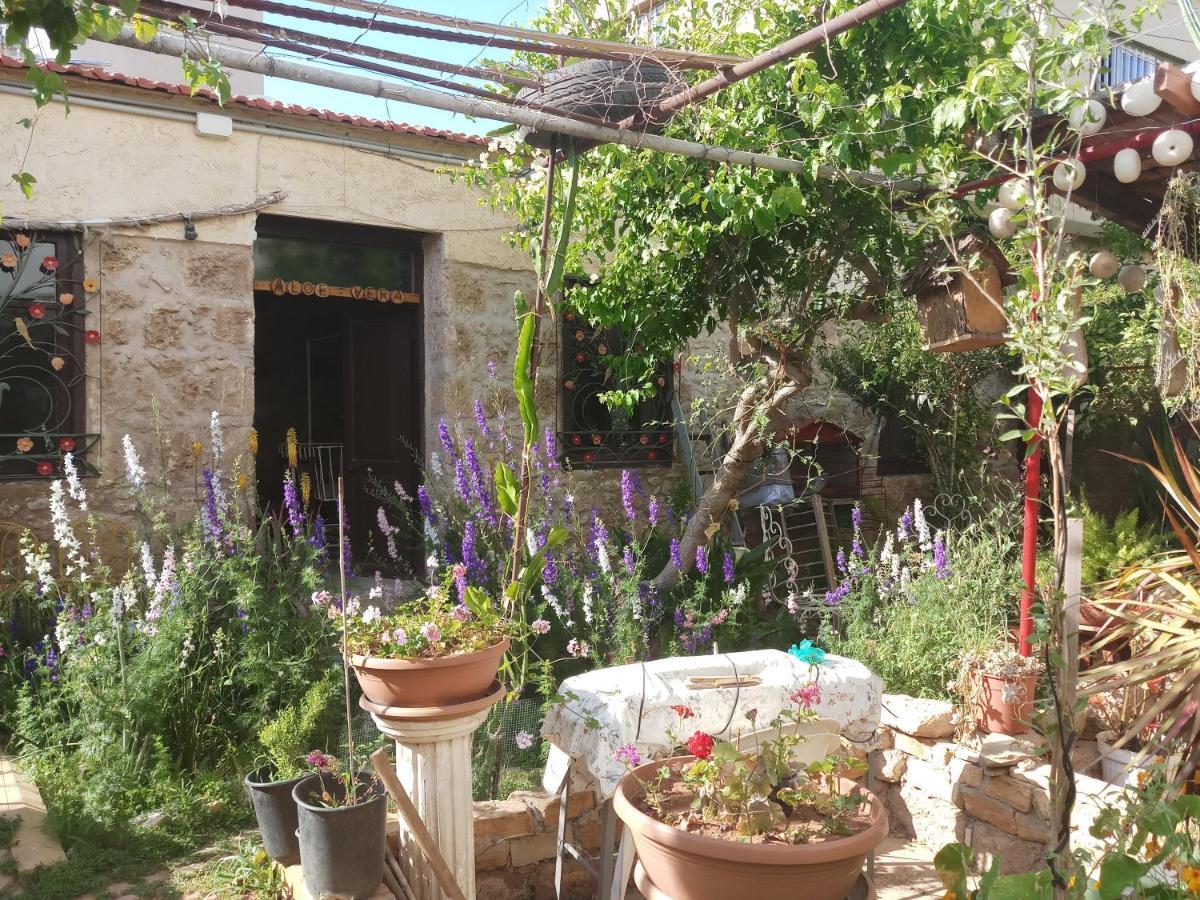 Mystery Garden Guest House Famagusta  Eksteriør billede