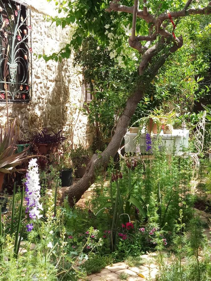 Mystery Garden Guest House Famagusta  Eksteriør billede