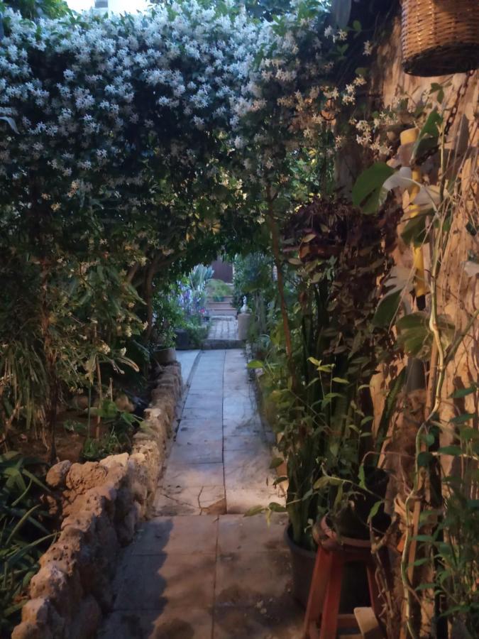 Mystery Garden Guest House Famagusta  Eksteriør billede