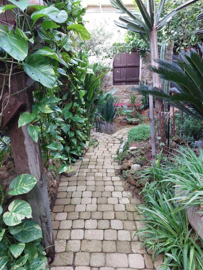 Mystery Garden Guest House Famagusta  Eksteriør billede