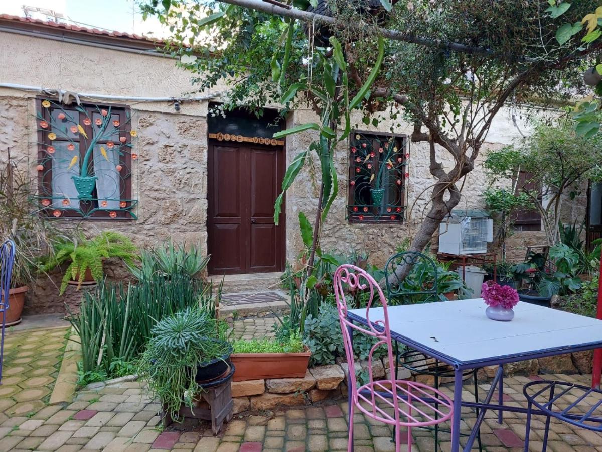 Mystery Garden Guest House Famagusta  Eksteriør billede