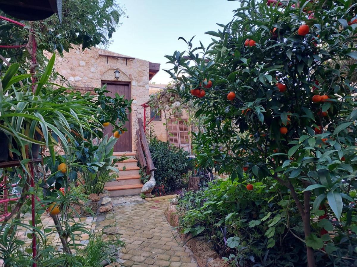 Mystery Garden Guest House Famagusta  Eksteriør billede