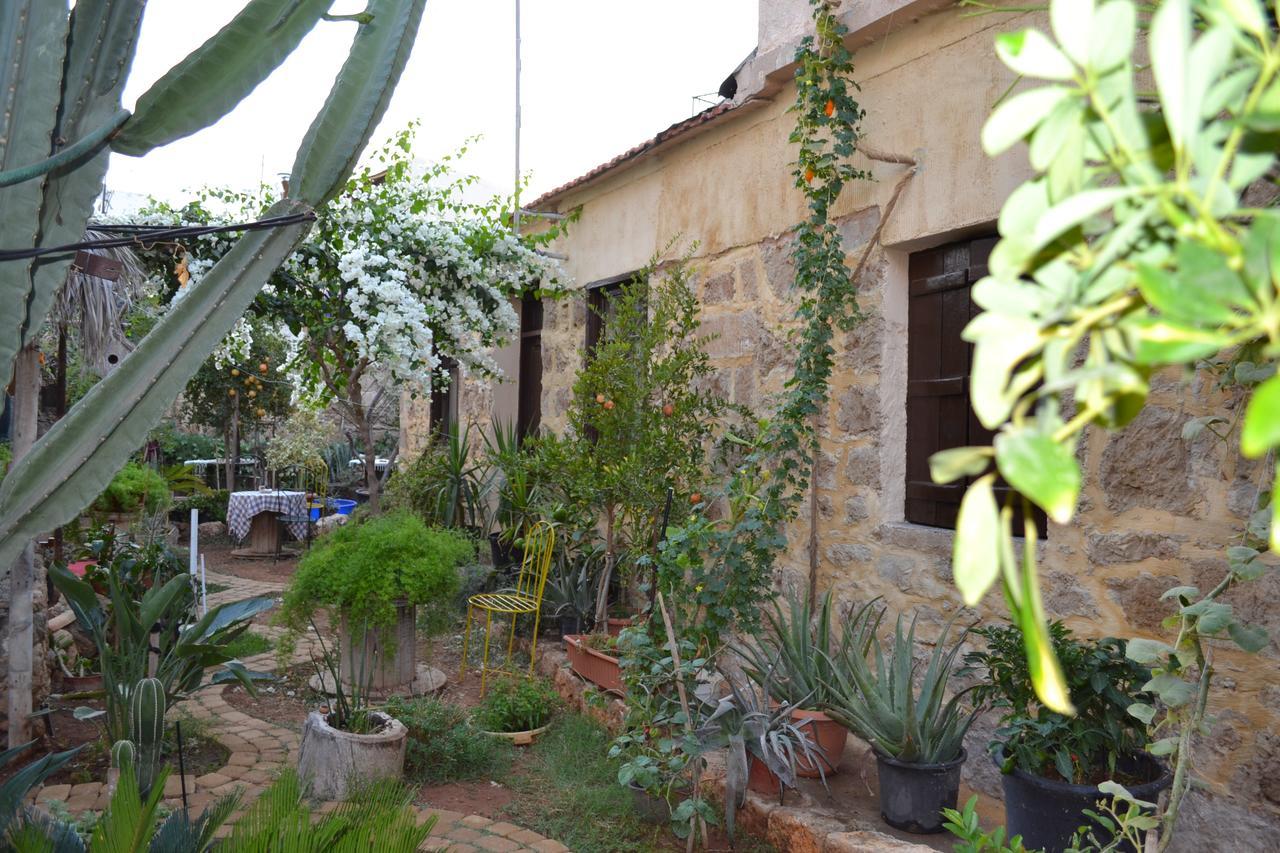 Mystery Garden Guest House Famagusta  Eksteriør billede