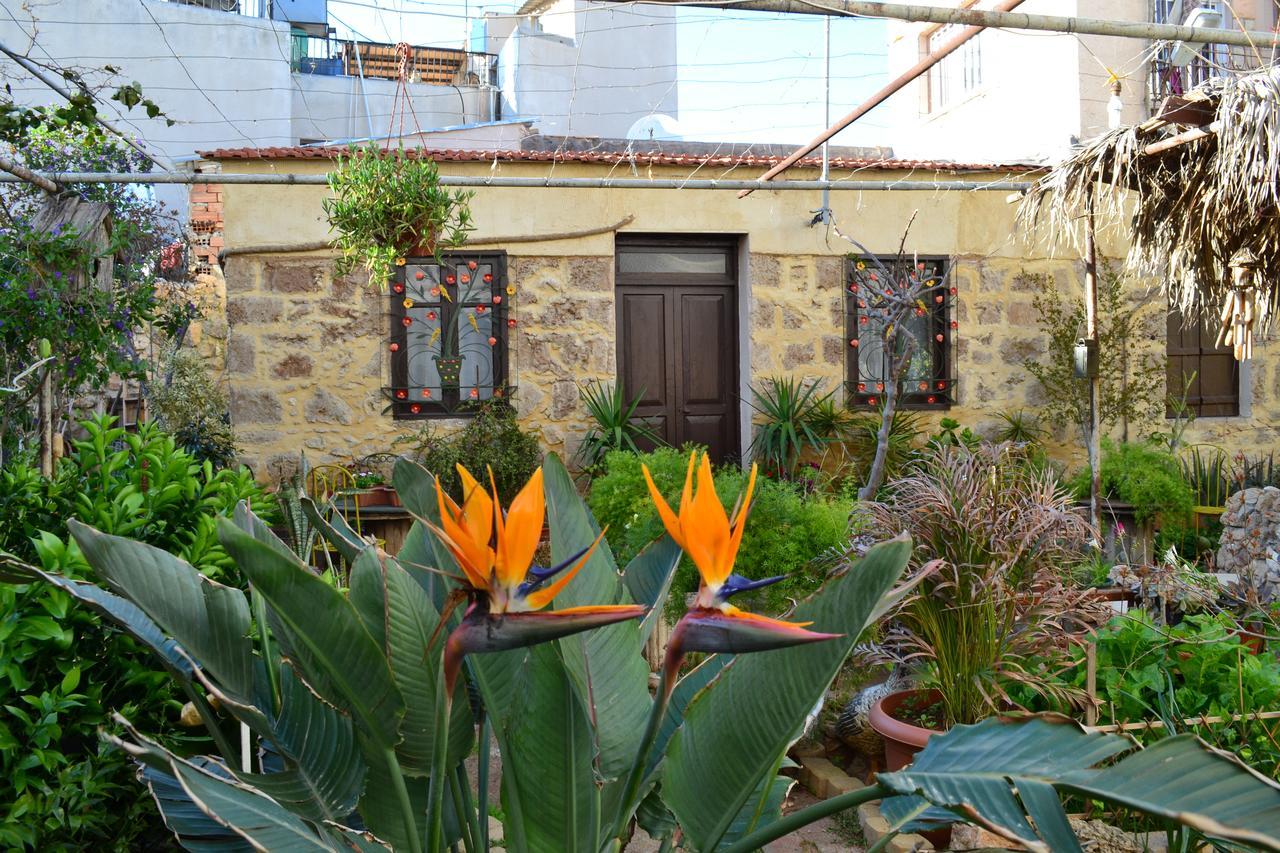Mystery Garden Guest House Famagusta  Eksteriør billede