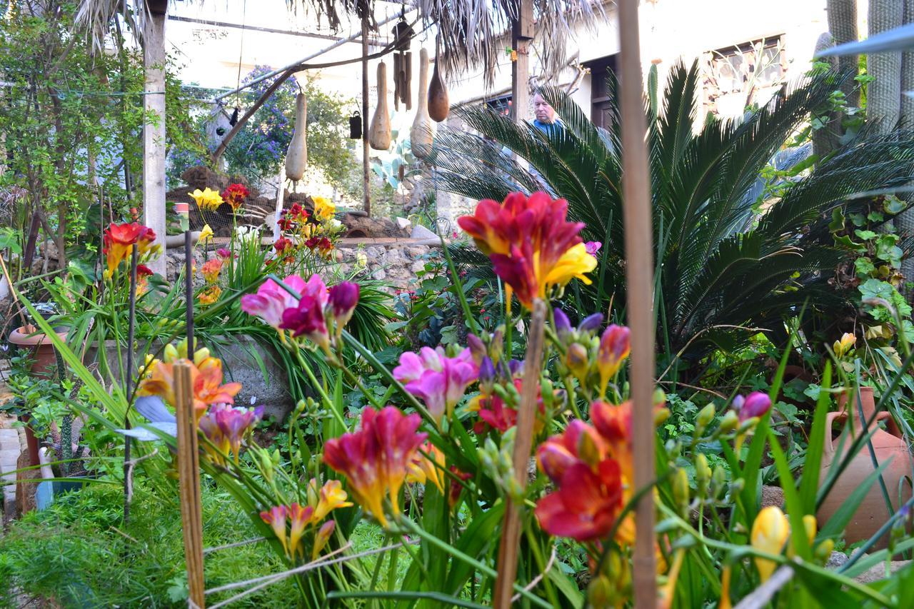 Mystery Garden Guest House Famagusta  Eksteriør billede