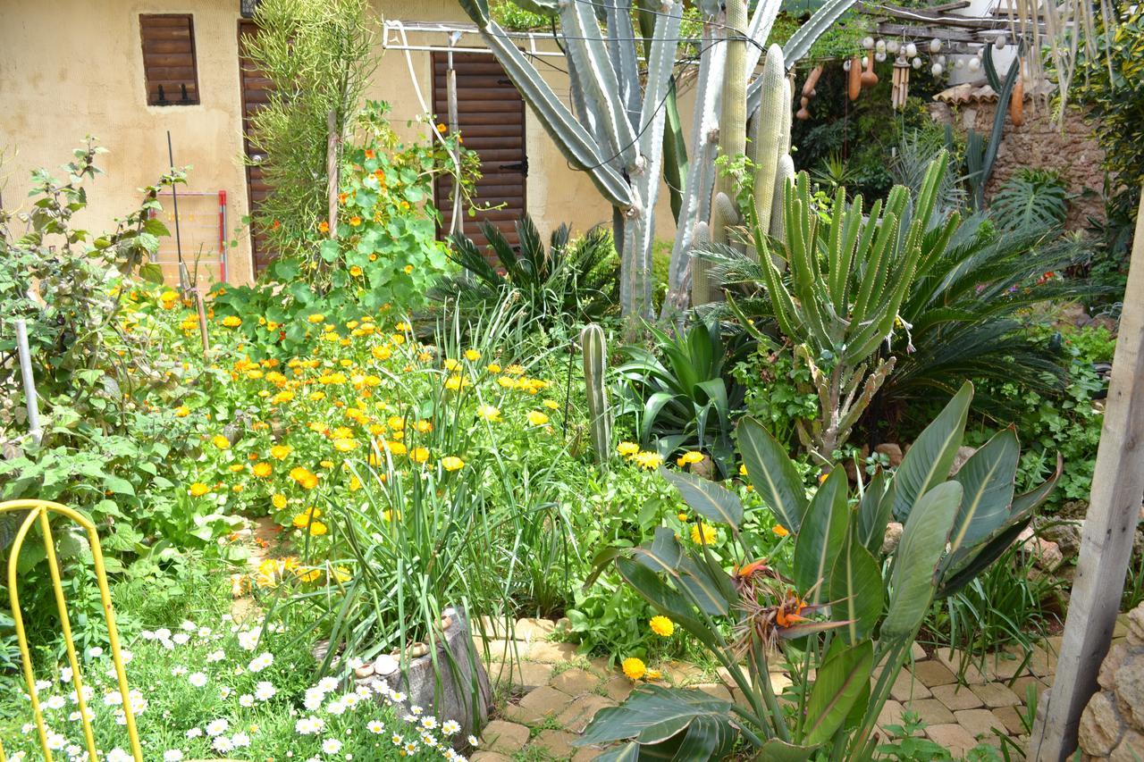 Mystery Garden Guest House Famagusta  Eksteriør billede