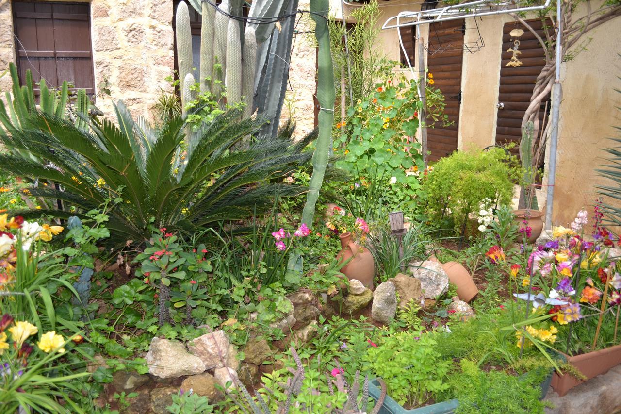 Mystery Garden Guest House Famagusta  Eksteriør billede