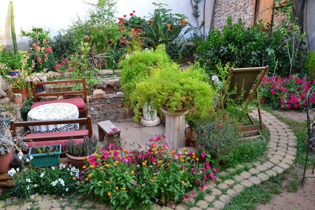 Mystery Garden Guest House Famagusta  Eksteriør billede
