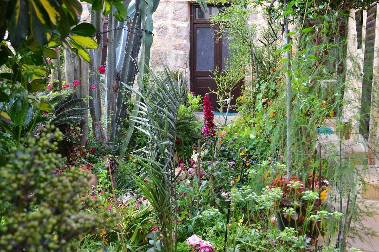 Mystery Garden Guest House Famagusta  Eksteriør billede