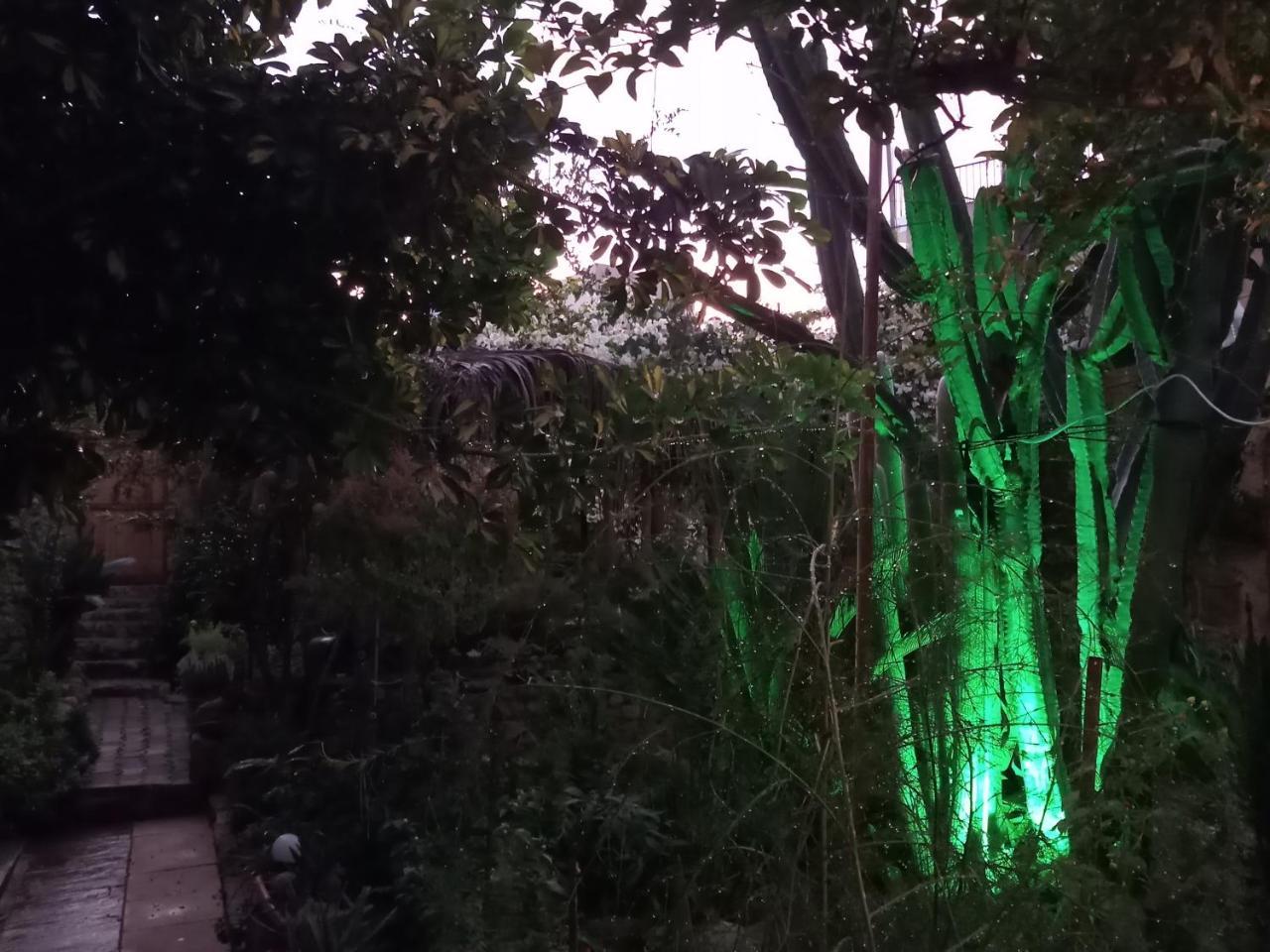 Mystery Garden Guest House Famagusta  Eksteriør billede