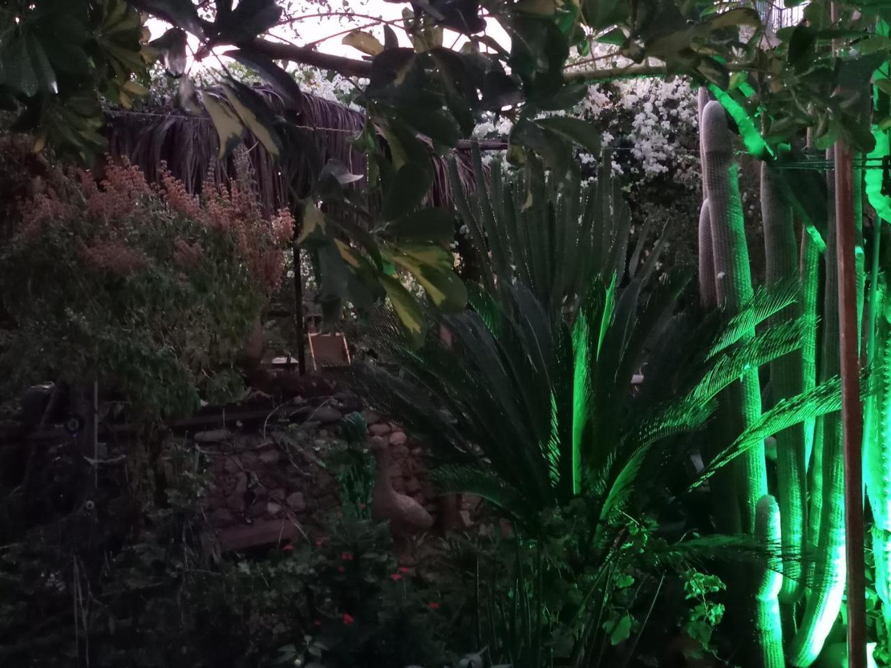 Mystery Garden Guest House Famagusta  Eksteriør billede