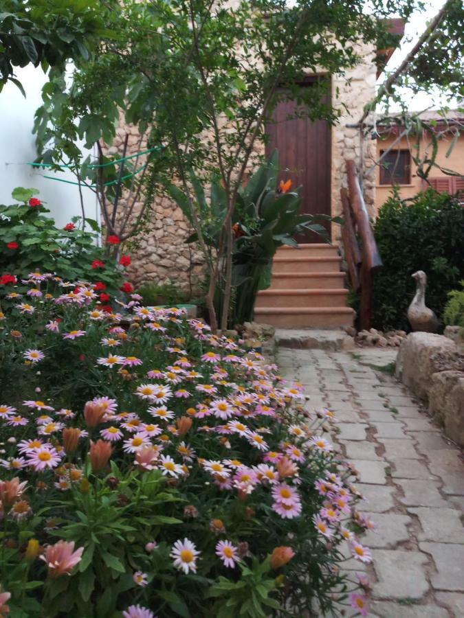 Mystery Garden Guest House Famagusta  Eksteriør billede