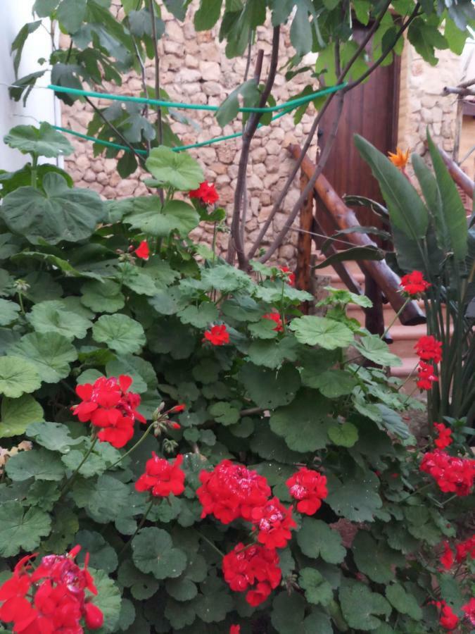 Mystery Garden Guest House Famagusta  Eksteriør billede